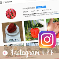 Instagramサイト